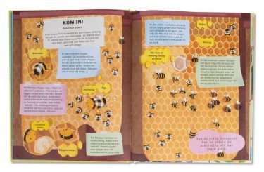 Binas hemliga liv - Image 2