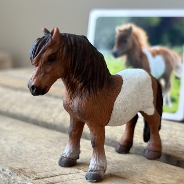 Julkalender för barn - Husdjur och skogsdjur - 24 djurfigurer och faktakort - Image 4