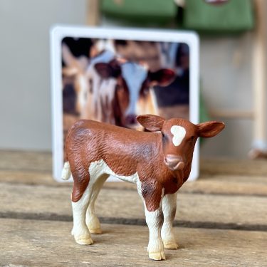 Julkalender för barn - Husdjur och skogsdjur - 24 djurfigurer och faktakort - Image 6