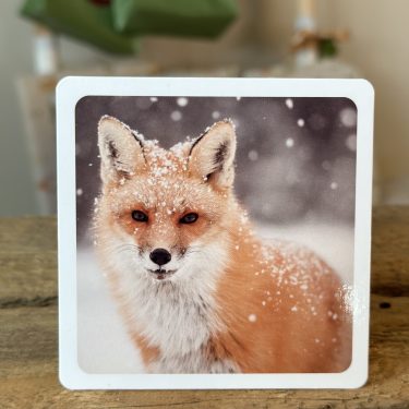 Julkalender för barn - Husdjur och skogsdjur - 24 djurfigurer och faktakort - Image 7