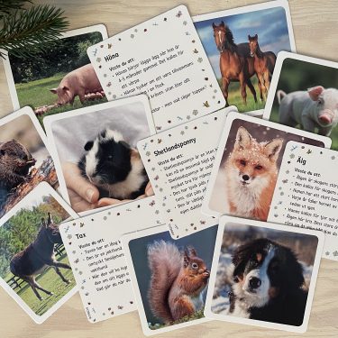 Julkalender för barn - Husdjur och skogsdjur - 24 djurfigurer och faktakort - Image 5