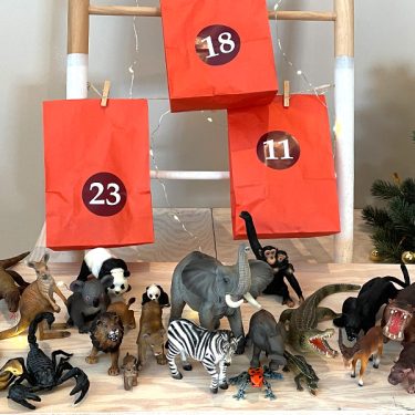 Julkalender för barn - Exotiska djur - 24 djurfigurer och faktakort - Image 6