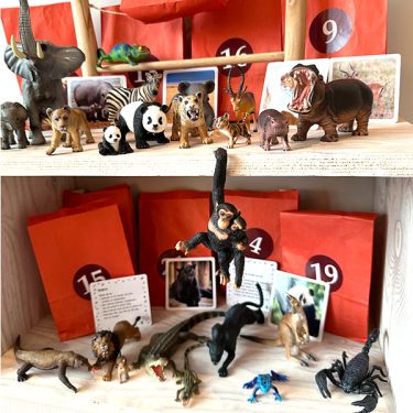 Julkalender för barn - Exotiska djur - 24 djurfigurer och faktakort