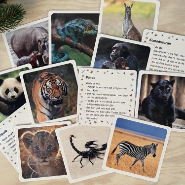 Julkalender för barn - Exotiska djur - 24 djurfigurer och faktakort - Image 7