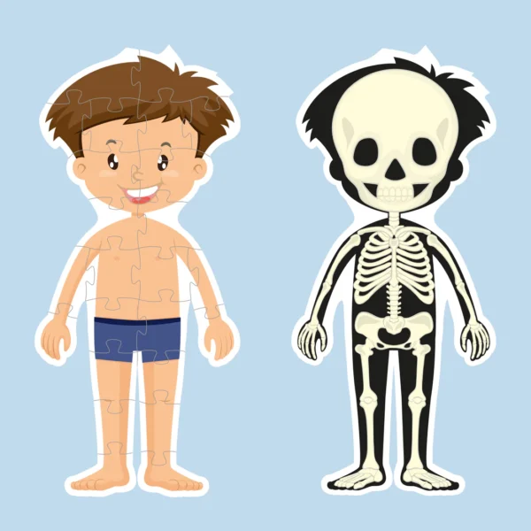 Body Puzzle Boy_3