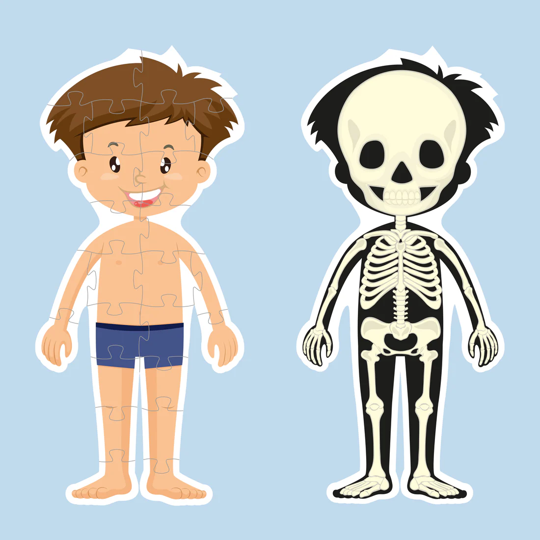 Body Puzzle Boy_3