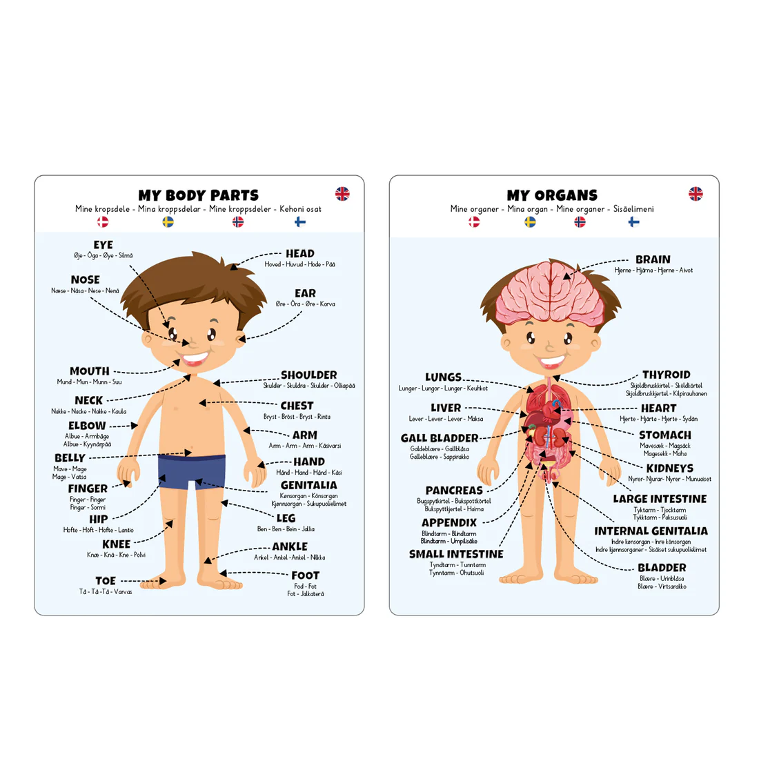 Body Puzzle Boy_4