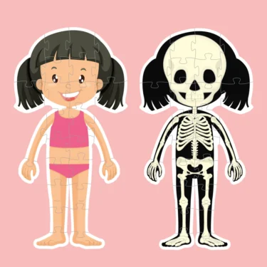 Pussel Kroppen - Flicka - Image 5