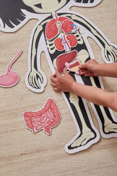 Pussel Kroppen - Flicka - Image 2