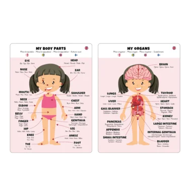 Pussel Kroppen - Flicka - Image 4