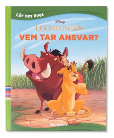 Vem tar ansvar?