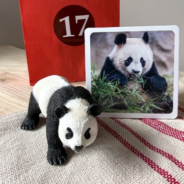 Julkalender för barn - Exotiska djur - 24 djurfigurer och faktakort - Image 4